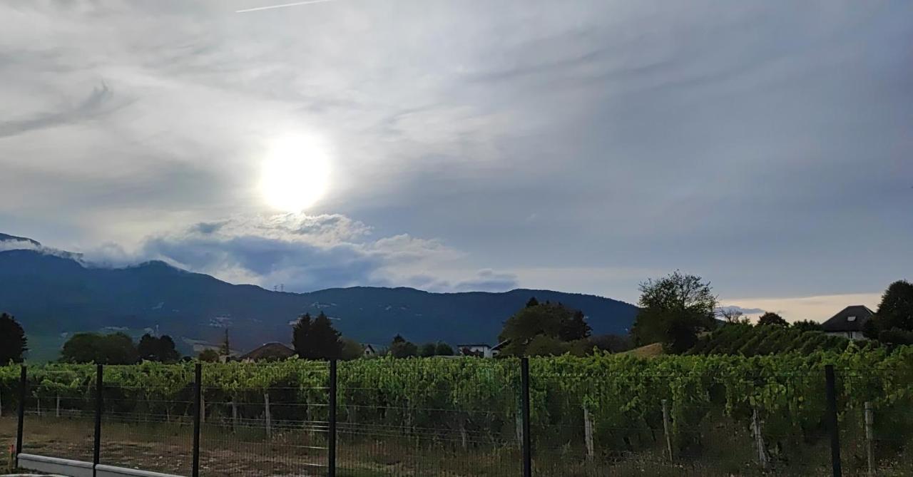 Chambre Au Coeur Des Vignes Myans Exterior foto